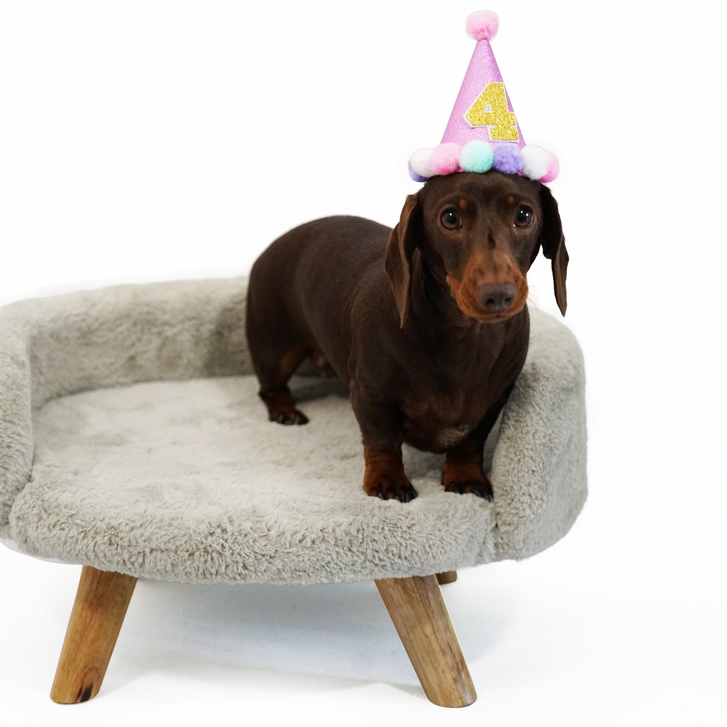 Handmade Doggy Party Hat