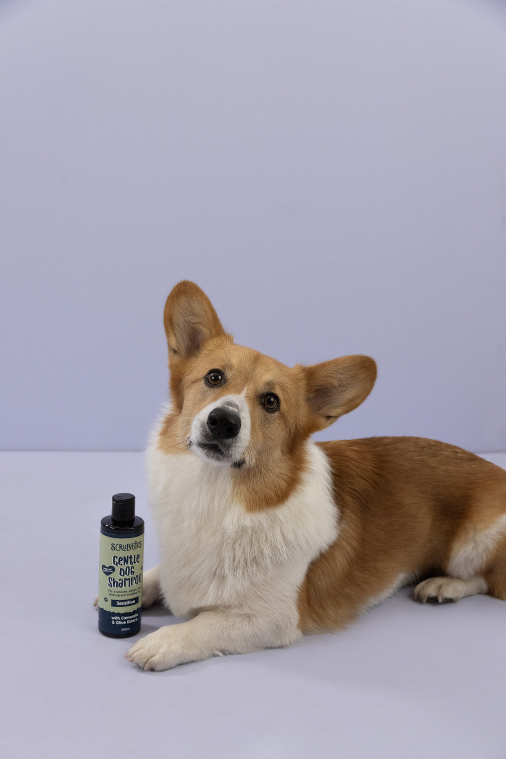 REVOLUTIONISING CANINE GROOMING WITH SCRUBBIES NATURAL PRODUCTS