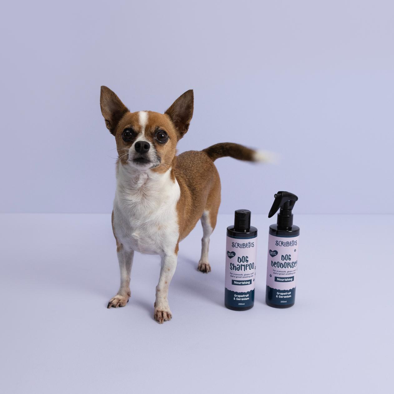 DOG GROOMING