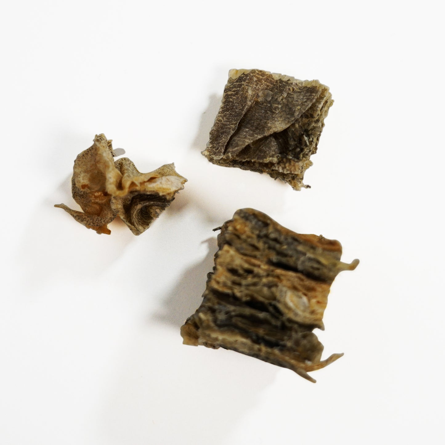 Buddylicious Dried Cod Skin Cubes